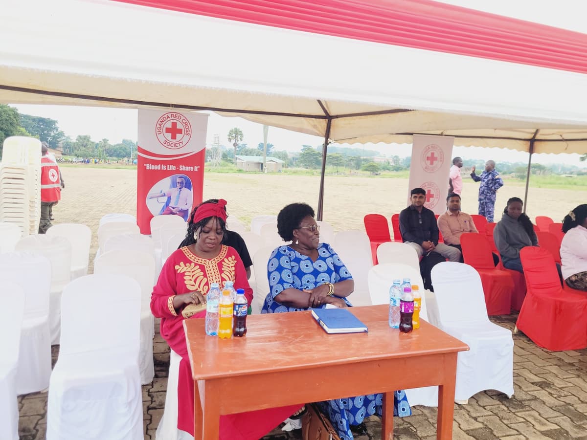 Community engagement 19